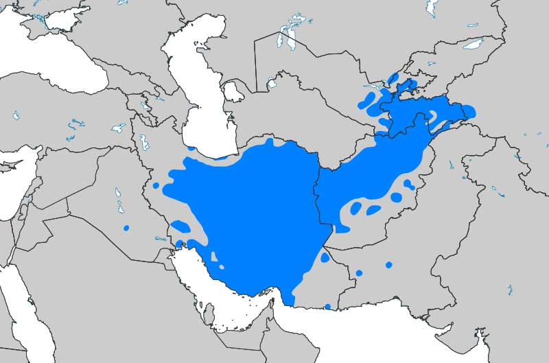 ضرورت تشکیل «اتحادیه کشورهای فارسی زبان»