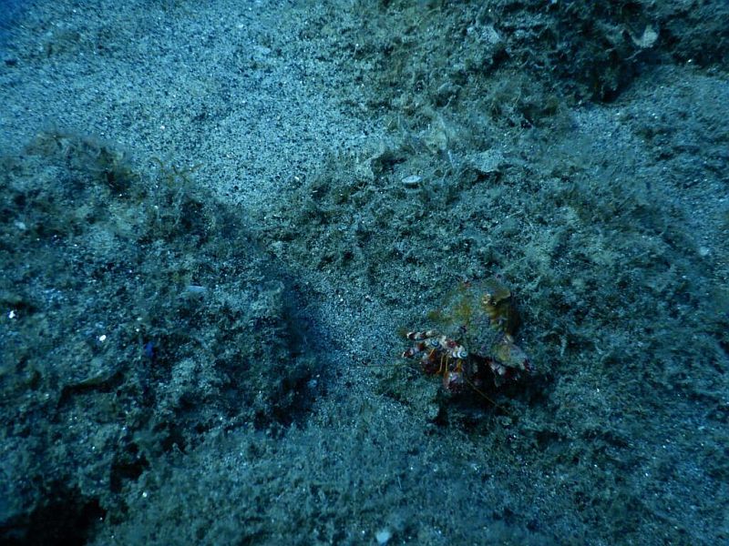 گنج پنهان در سواحل شمال شرقی ساردینیا کشف شد