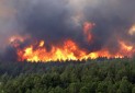 سالانه 15 هزار هکتار از اراضی جنگلی و مراتع در آتش می سوزد