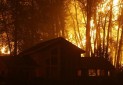 آتش سوزی در جنگل های آمریکا رکورد زد؛ آژانس خدمات جنگلداری به نقطه شکست رسید