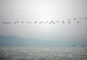 افزایش حجم آب دریاچه ارومیه به ۳.۱۴ میلیارد متر مکعب