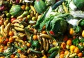 تاثیر زباله های غذایی بر تغییرات اقلیمی