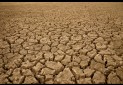 خسارت 940 میلیارد ریالی خشكسالی به مناطق حفاظت شده یزد