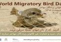 با کشتار، صید و تجارت غیرقانونی پرندگان مهاجر مقابله کنیم