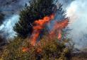 5 هکتار از جنگل های رودبار در آتش سوخت
