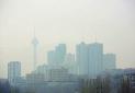 مرگ سالانه 3/3 میلیون نفر در اثر آلودگی هوا