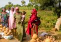 زنان روستایی بهتر از مردان طبیعت را حفظ می کنند
