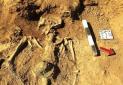 کشف گورهایی با تدفین طاقباز در گورستان "وستمین" کیاسر