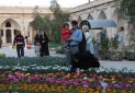 نمایشگاه گل و گیاه در کاروانسرای مشیرالملک برازجان برپا شد