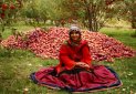 لباس اقوام ایرانی در بلغارستان به نمایش درآمد