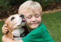 پیش نویس قانون حمایت از حیوانات خانگی در حال تدوین است
