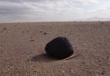 کشف ناخن یک دایناسور و شهاب سنگ در کویرهای خراسان جنوبی
