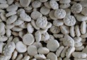 ثبت نان زنجبیلی گرگان در فهرست میراث ناملموس کشور