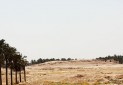 ثبت تپه تاریخی 'بئر گال' در فهرست میراث ملی
