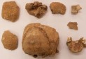 کشف شواهد جدید باستان شناختی از گذشته تاریخی تهران