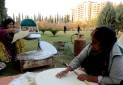 شناسایی 250 خوراک بومی فارس برای جذب گردشگر