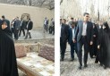 بازدید رئیس سازمان میراث فرهنگی از باغ جهانی پهلوان پور