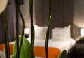 فرمول هتلداری سبز در ایران