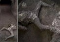 کشف یک مومیایی در «پمپئی»