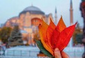 سقوط ارزش لیر باعث کاهش هزینه سفر به ترکیه نشد