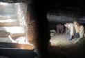 کشف مقبره ۲۰ مومیایی در مصر