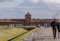 دستگیری یک گردشگر به خاطر «سلام نازی»