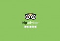 چگونه از سایت TripAdvisor استفاده کنیم؟