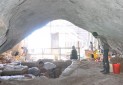 کشف بقایای کفتار غارنشین در قدیمی ترین محوطه باستانی ایران