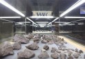افتتاح موزه شهاب سنگ در برج آزادی