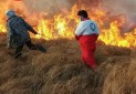 60 هکتار از مراتع تالاب هامون در آتش سوخت
