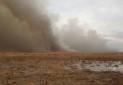 آتش سوزی تالاب میقان موجب افزایش پارامترهای آلودگی هوا در اراک شد