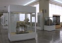 موزه ملی ایران با «لوور» رکورد شکست
