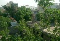باغ تاریخی «ملک» شهرری در حال ویرانی است