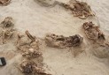 کشف باستان شناسی تکان دهنده در «پرو»