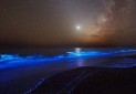 شب تاب دریایی؛ جاذبه ای که ساحل چابهار را آبی و درخشان می کند