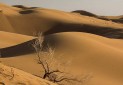 تغییر اقلیم ایران، فرسایش بادی را 30 درصد افزایش داد