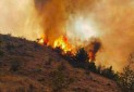 آتش سوزی در جنگل ارسباران