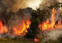حدود ۳۰ هزار هکتار از جنگل‎های رودبار در آتش سوخت