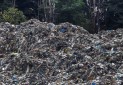 زنگ خطر تلنبار زباله در عرصه های جنگلی کلاردشت
