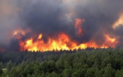 سالانه 15 هزار هکتار از اراضی جنگلی و مراتع در آتش می سوزد