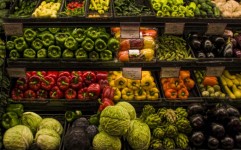 گیاهخواری، راه نجات محیط زیست و انسان