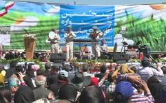 جشنواره گل های بابونه در فندقلوی نمین برگزار شد