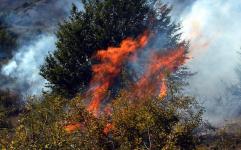 5 هکتار از جنگل های رودبار در آتش سوخت
