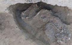 کشف اسکلت 5800 ساله انسان در اطراف شیراز
