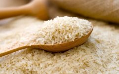 آلاینده های برنج و چای ایرانی 50 درصد کاهش یافت