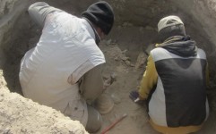 شناسایی 80 اثر تاریخی از دوران پارینه سنگی در شهرستان مهران