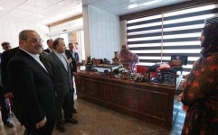 بهره برداری از دو هتل در قشم با حضور رئیس سازمان میراث فرهنگی