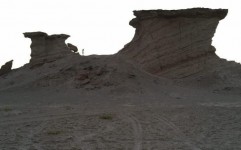 احتمال کشف بقایای دایناسور در کویر لوت