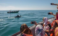 رونق گردشگری دریایی در قشم؛ بدون ویزا