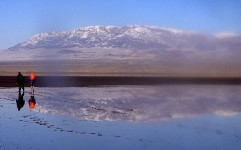 درخواست نوری همدانی برای تبدیل دریاچه نمک قم به جاذبه گردشگری